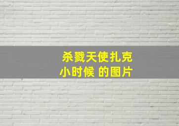 杀戮天使扎克小时候 的图片